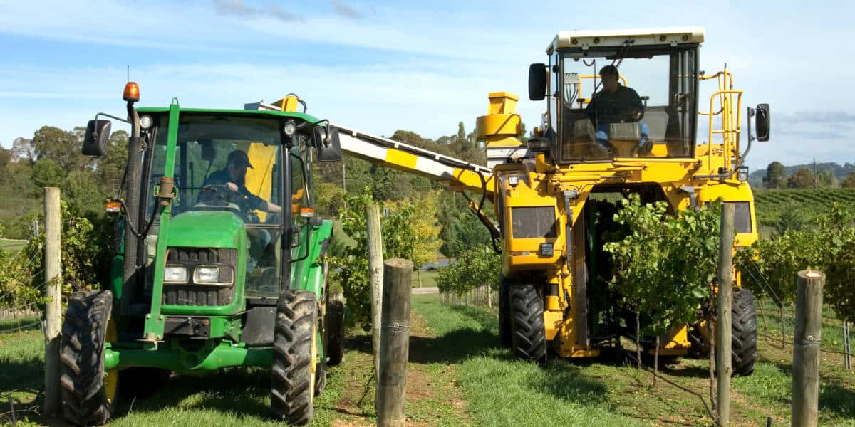 grape harvester tractors in action