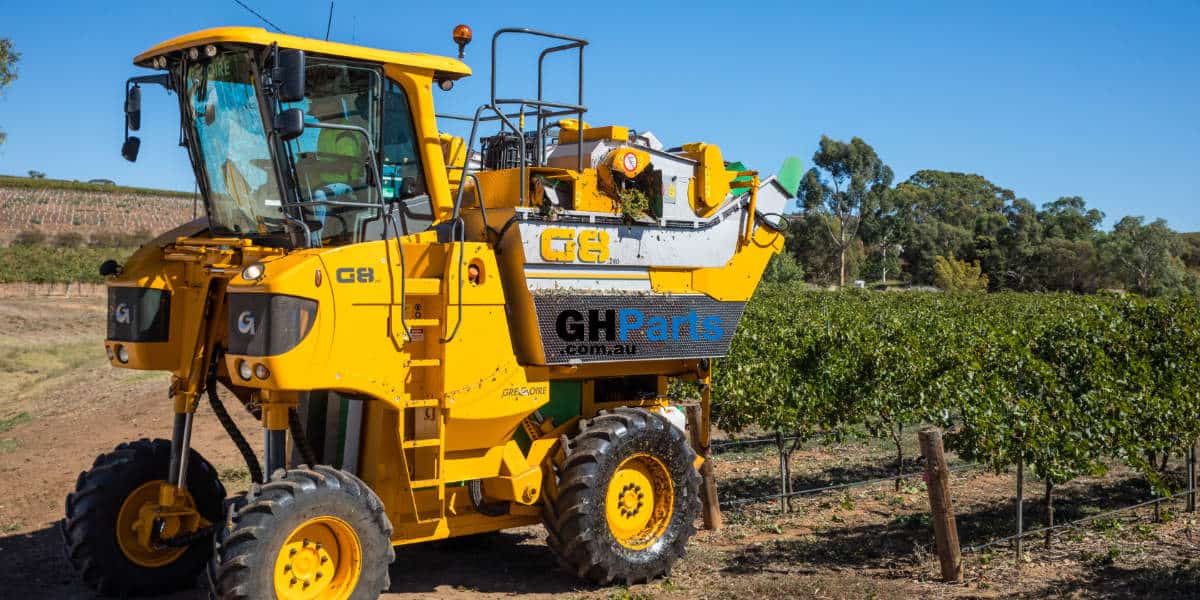 Harvesting machine removes red grapes from vineyard