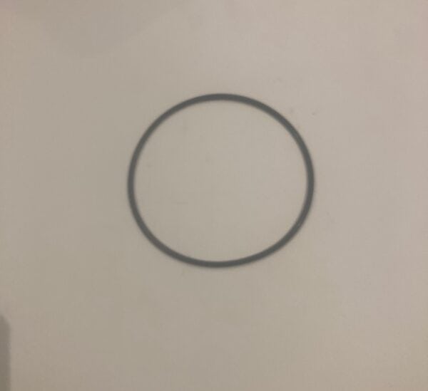 O-ring-B018498